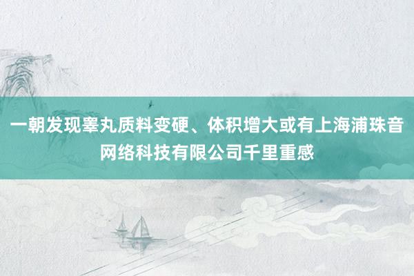 一朝发现睾丸质料变硬、体积增大或有上海浦珠音网络科技有限公司千里重感